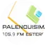 Logo Palenquisima Estereo