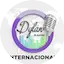 Logo Radio Dylan Internacional
