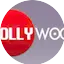 Logo LOLLYWOOD HD FM