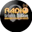 Logo Radio-Moonlight