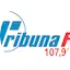 Logo Rádio Tribuna 107.9 FM