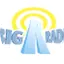 Logo Big R Radio - Explicit Top 40