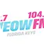 Logo 104.5 WEOW FM