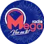 Logo Radio La Mega Potosi