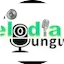 Logo Radio Melodia Yungueña