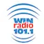 Logo Win Radio 101.1 FM