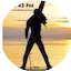 Logo Ruta 43