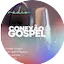 Logo Radio Conexao Gospel