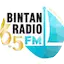 Logo Bintan Radio