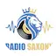 Logo Radio Saxony