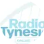 Radio Tyneside