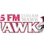 Logo The Hawk