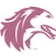 Logo Southern Illinois Salukis Sports Network
