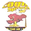 Logo Eagle Sports