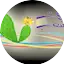 Logo Sawt El Shaeb Radio
