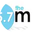 Logo The Mix