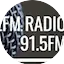 Logo Efm Radio 91.5FM