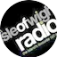 Logo Isle of Wight Radio