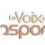 Logo Radio La Voix De La Diaspora