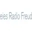 Logo Freies Radio Freudenstadt