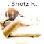 Logo Hot Shotz Radio