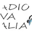 Logo Radio Viva Italia
