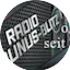 Logo Taunus-Blitz