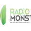 Logo RadioMonster.FM - Evergreens