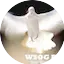 Logo WSOG Catholic Radio 88.1 FM