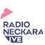 Logo Neckaralb Live