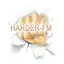 Harder.FM