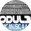 Logo Modul303