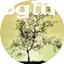 Logo Progman