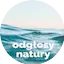 Logo Radio Open FM - Odgłosy Natury