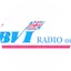 Logo ZBVI