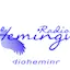 Logo Radio Hemingway