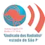 Logo Antena Ligada FM
