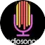Logo Radio Sonora Web