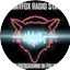 Logo Deejayfox Radio Station