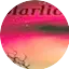 Logo Polarlicht