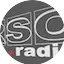Logo Radio Sud Orientale