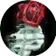 Logo Rosenland