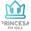 Logo Rádio Princesa das Matas