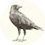 Logo Radio Rabenwind