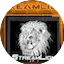 StreamLions Radio