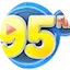 Logo Rádio 95 FM