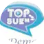 Logo Radio Top Sul FM