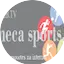 Logo Neneca Sports Music