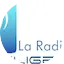 Logo La Radio Inteligente