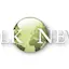 Logo Folk News